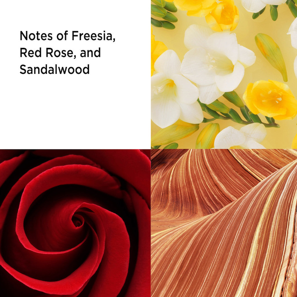RED DOOR EDT 100 ML